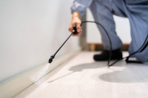 Professional exterminator conducting IPM assessment in Bedminster