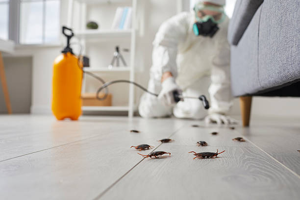 Commercial Kitchen Cockroach Control in Bedminster